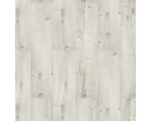 Laminat 8.0 Eiche cream