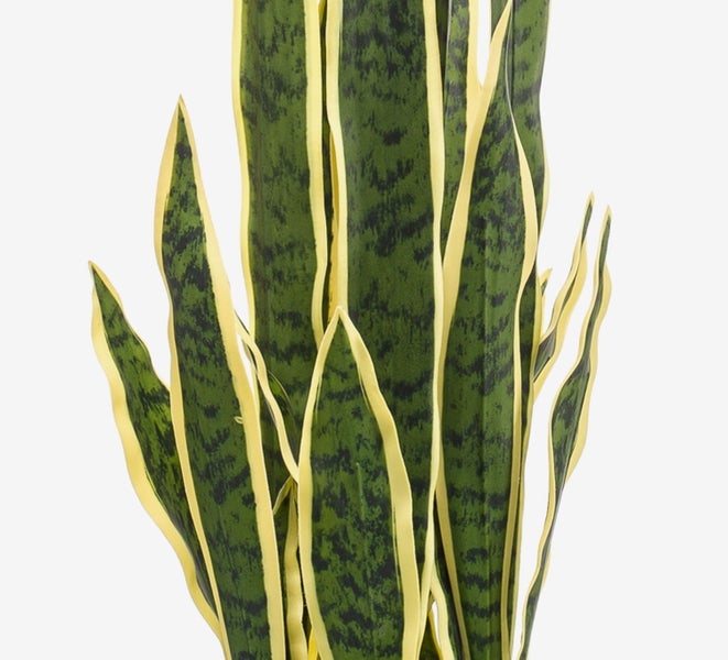 Sansevieria künstlich Elene, grün-gelb, 95cm - Künstlicher Bogenhanf/Deko Schwiegermutterzunge