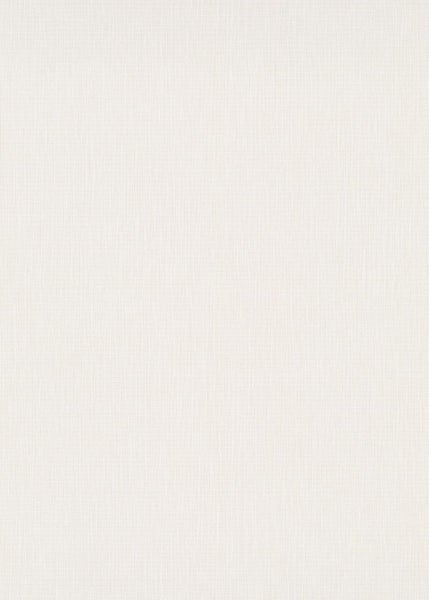 Schleifgitter Korn 100