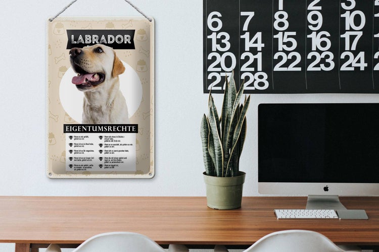 Blechschild Spruch 20x30cm Labrador Eigentumsrechte