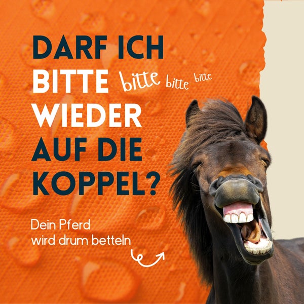 nimo® Imprägnierspray für Pferdedecken • Versiegelung zum Schutz gegen Nässe und Schmutz