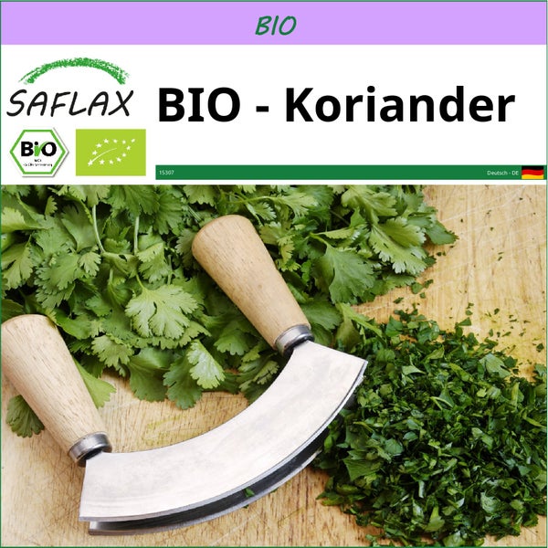 SAFLAX  - BIO - Koriander - Coriandrum sativum - 150 Samen