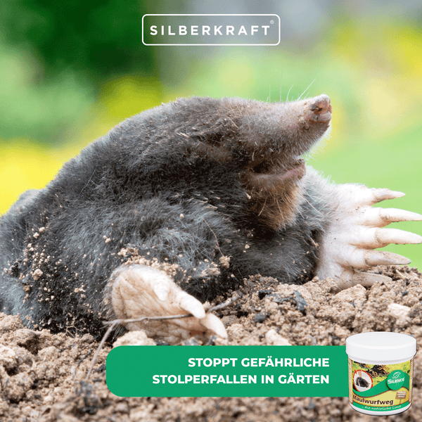 Maulwurfweg Duftkugeln zur Maulwurfabwehr – Effektives Mittel gegen Maulwürfe im Garten – Vertreibt Maulwürfe durch Geruch – Maulwurfbekämpfung ohne Falle – Gegen Hügel & Gänge im Rasen