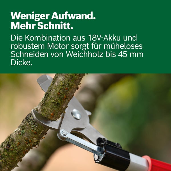 Akku-Astschere schneidet einen Ast. Geeignet für Weichholz bis 45 Millimeter Dicke mit 18 Volt Akku und robustem Motor.