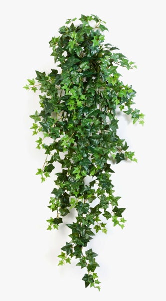 Künstlicher Efeu, Efeugirlande mit grünen Blättern aus Kunststoff für die Wanddekoration.