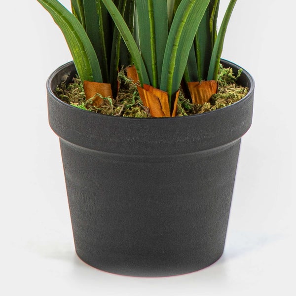 Künstliche Pflanze im schwarzen Kunststofftopf mit Moos und langen grünen Blättern.