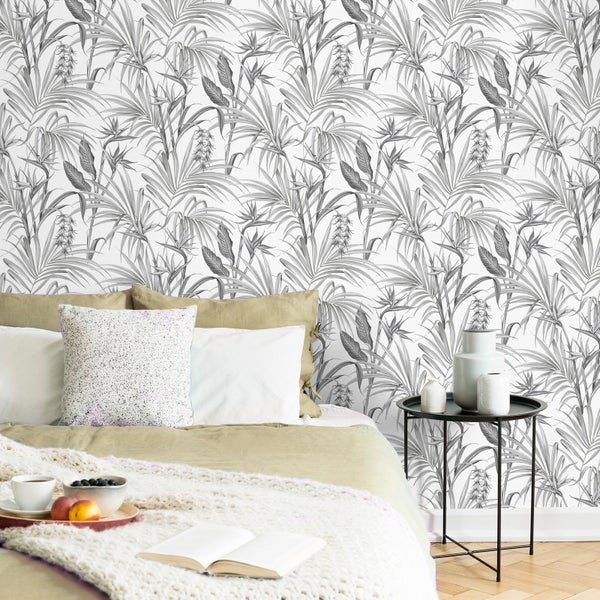 Fliegenkraut Strelitzia Bl�tter Gris