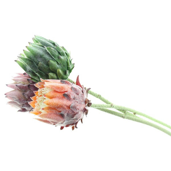 FRANK FLECHTWAREN | Blume Protea, 3er Set, 8 x 8 x 62 cm, KUNSTSTOFF