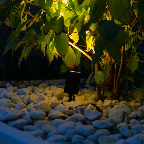 Schwarzer Gartenstrahler in weißen Kieselsteinen, der die grünen Blätter einer Pflanze mit warmem Licht anstrahlt.