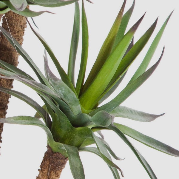 Detailansicht einer künstlichen Yucca-Palme mit grünen spitz zulaufenden Blättern und strukturiertem braunem Stamm.