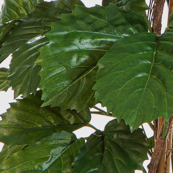Detailansicht der grünen Blätter einer Kunstpflanze mit gezacktem Rand.