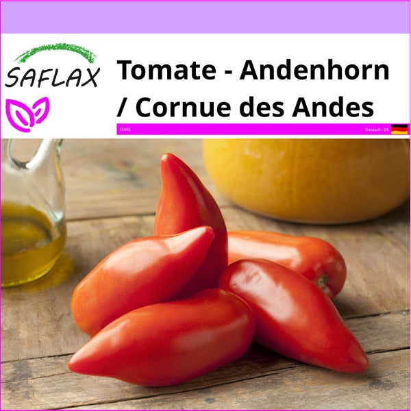 SAFLAX  - Tomate - Andenhorn / Cornue des Andes - Lycopersicon esculentum - 10 Samen