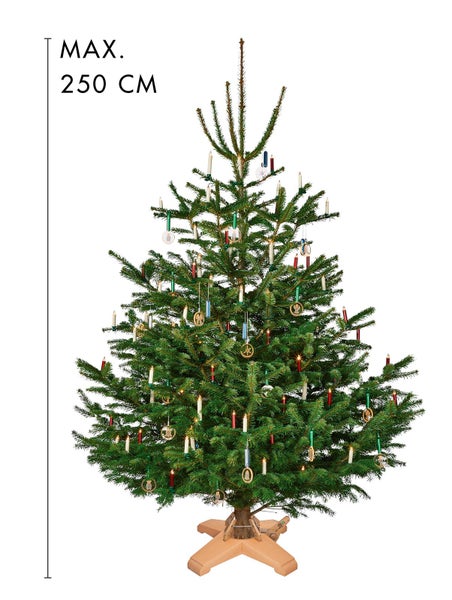 Geschmückter Tannenbaum mit einer maximalen Höhe von 250 cm auf einem Baumständer.