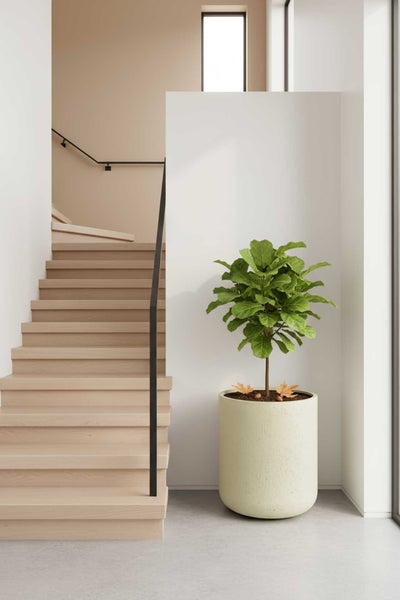 Moderner, hellbeiger zylindrischer Pflanzkübel mit grüner Zimmerpflanze neben einer Holztreppe in einem hellen, minimalistischen Treppenhaus.