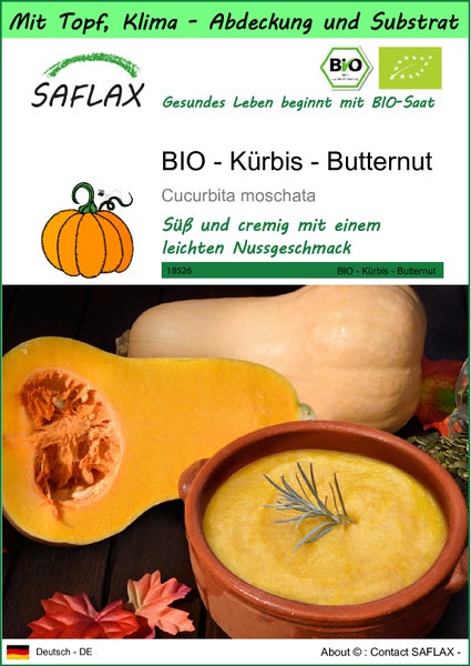 SAFLAX Garden to go - BIO - Kürbis - Butternut - Cucurbita moschata - 6 Samen - Mit Topf, Klima - Deckel und Anzuchtsubstrat
