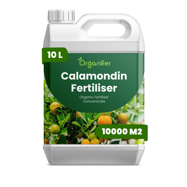Organifer Calamondin-Dünger, organisches Düngerkonzentrat, 10 Liter für 10000 Quadratmeter.