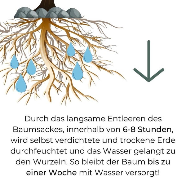 Baum Bewässerungssack für Bäume Wassersack Langzeit Bewässerungssystem Baumbewässerungssack Gießsack 75 L Baumsack Baumbewässerungsbeutel Baumbeutel