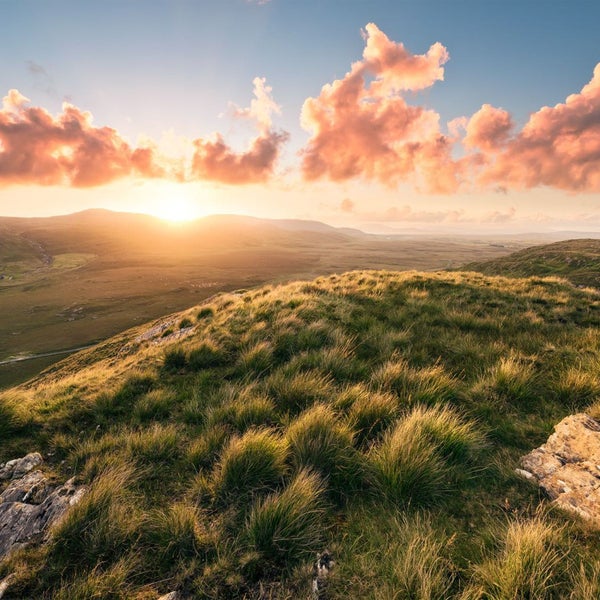 Landschaft mit Gras und Hügeln bei Sonnenaufgang