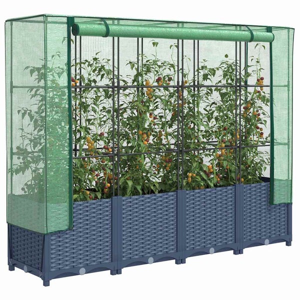 Großes rechteckiges Hochbeet in Rattan-Optik mit grünem Gewächshaus-Aufsatz und Tomatenpflanzen.