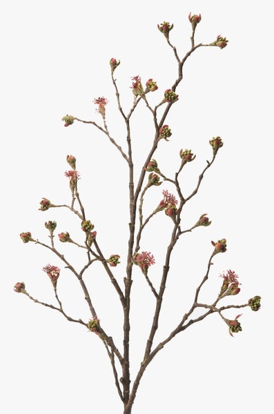 Künstlicher Zweig mit Knospen und kleinen roten Blüten zur Dekoration.