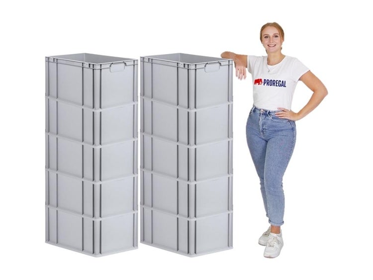 PROREGAL Eurobox Nextgen Economy Griffe Geschlossen HxBxT 32 x 40 x 60 cm 65 Liter Eurobehälter Transportbox Transportbehälter Stapelbehälter