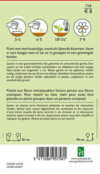 Anweisungen zum Pflanzen von Blumensamen