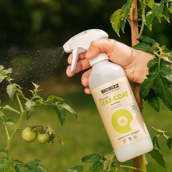 BioBizz Leafcoat 500 ml – Biologisches Pflanzenschutz-Spray gegen Schädlinge mit Pipette – Sofort einsatzbereit & 100 % natürlich