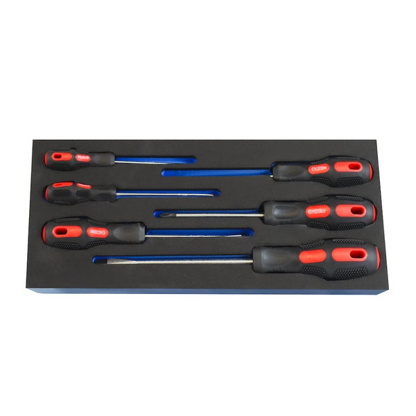 PROREGAL Werkzeug Satz Werkstattwagen Cheetah Schraubendrehersatz 6 Teile mit Schaumstoff Schubladeneinlage HxBxT 4,6 x 34 x 12,5 cm