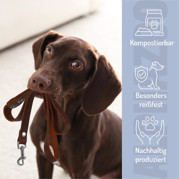 Brauner Hund hält eine Hundeleine aus Leder im Maul