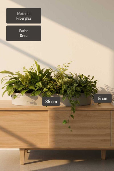 Eine graue Pflanzschale aus Fiberglas mit einer Länge von 35 Zentimetern und einer Höhe von 5 Zentimetern, bepflanzt auf einer Holzkommode.