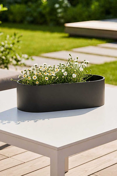 Schwarzer ovaler Pflanzkasten mit weißen Gänseblümchen auf einem hellen Gartentisch in einer hellen Gartenumgebung.