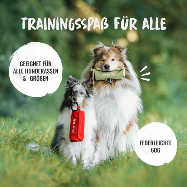 Zwei Hunde mit Hundespielzeug der Marke Rudelkönig im Gras, Text: Trainingsspass für alle. Geeignet für alle Hunderassen und -größen. Federleichte 60g.
