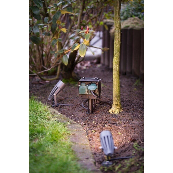 Nahaufnahme von Fächerahornlaub