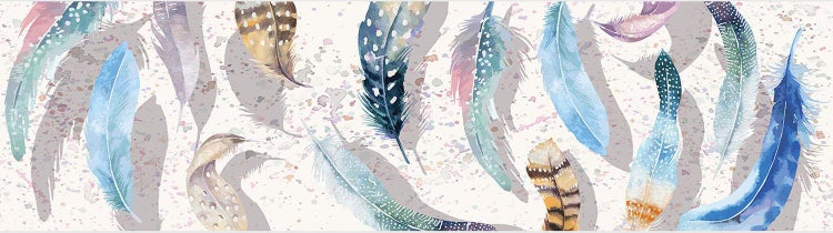 Tapetenbordüre mit verschiedenen Federn im Aquarell-Stil und Farbspritzern.