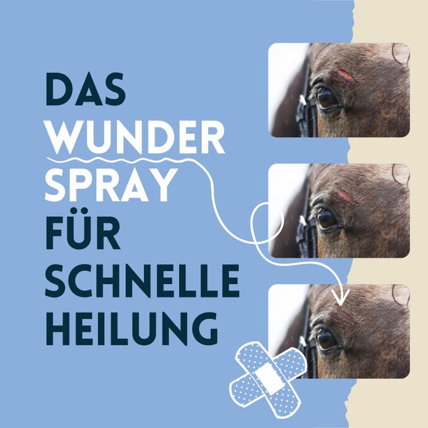 nimo® Pferde Wundspray • mit Aloe Vera und Panthenol zur Wundpflege und -heilung
