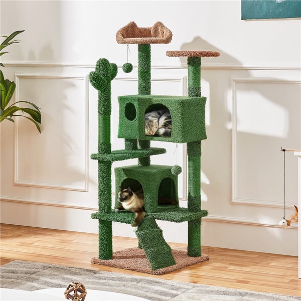 Katzenkratzbaum mit mehreren Ebenen und zwei Katzen