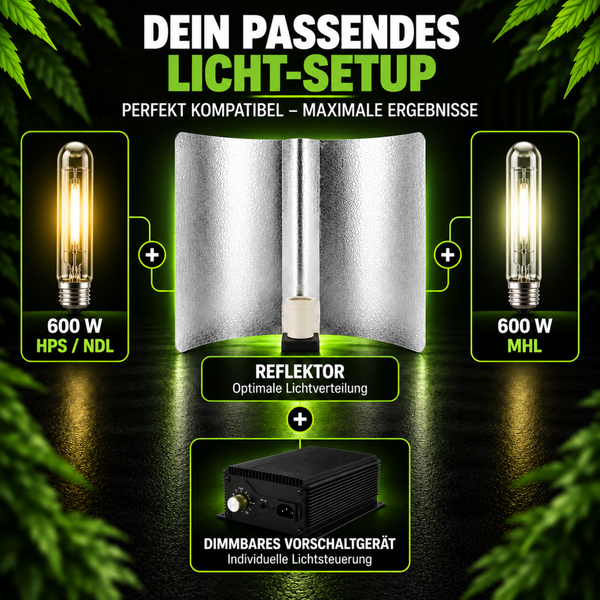 Grafik zeigt ein Lichtsetup für die Pflanzenzucht mit Reflektor, dimmbarem Vorschaltgerät sowie 600 Watt NDL und MHL Leuchtmitteln.