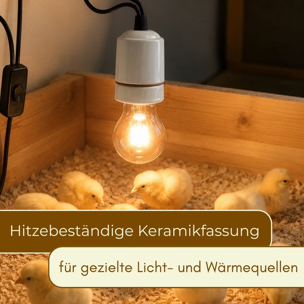Hitzebeständige Keramikfassung mit leuchtender Glühbirne über Küken in einer Holzbox mit Einstreu.