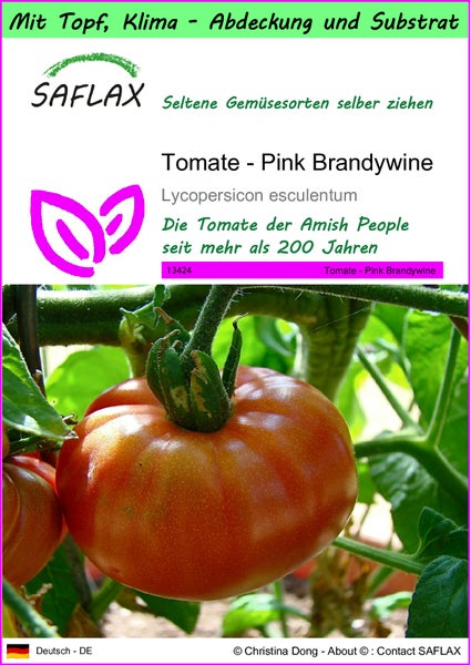SAFLAX Garden to go - Tomate - Pink Brandywine - Lycopersicon esculentum - 10 Samen - Mit Topf, Klima - Deckel und Anzuchtsubstrat