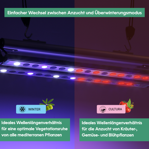 GrowLight Quattro - Parus by Venso LED Pflanzenlampe 60W, Anzuchtlampe LED Pflanzenlampe Vollspektrum, Überwinterung Venso Ecosolutions Pflanzen Licht, Pflanzenlampe Anzucht, Pflanzenlicht LED