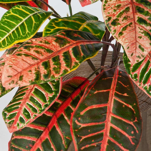 Künstliche Croton-Pflanze mit detailreichen, bunten Blättern und ausgeprägter Aderung.