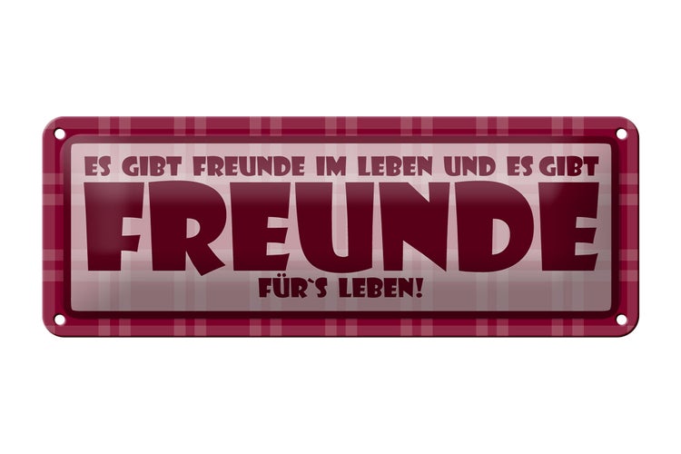 Blechschild Spruch 27x10cm Es gibt Freunde im Leben Dekoration