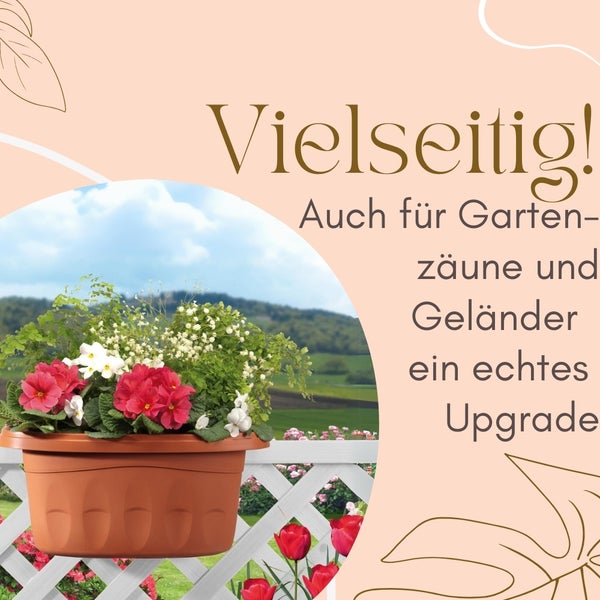 Blumenkasten mit Blumen auf einem Zaun