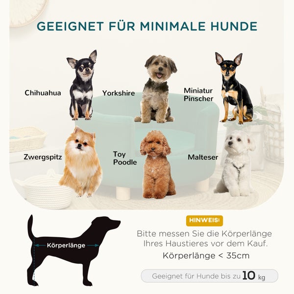 Darstellung von Hunderassen, die für kleine Hunde geeignet sind, mit Größenangaben