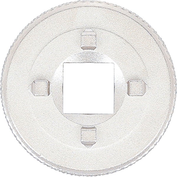 Ventileinsatz für Heizkörper