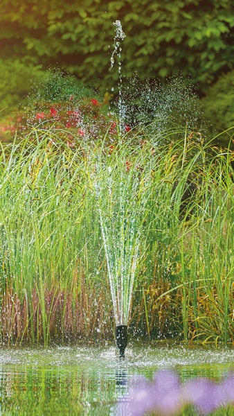 Wasserspiel in einem hellen Gartenteich mit einer Fontäne, die Wasser nach oben sprüht, umgeben von Schilf und Gräsern.