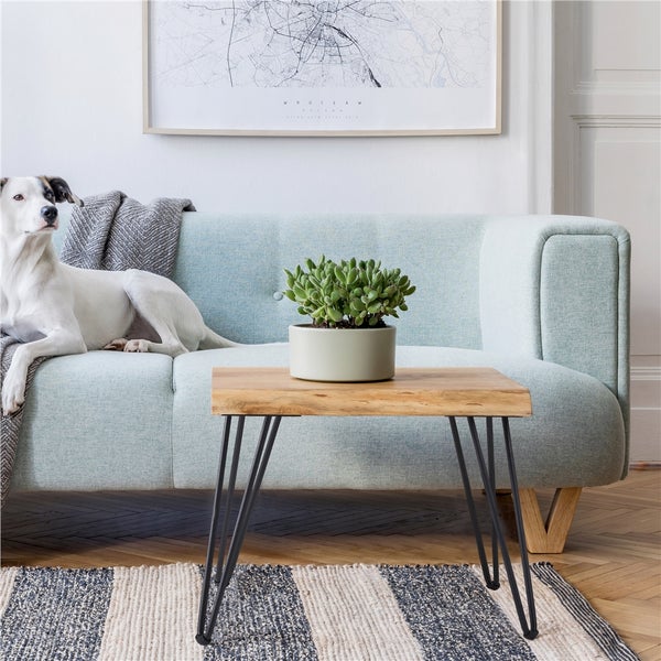 Wohnzimmer mit Sofa, Couchtisch aus Holz mit Metallbeinen und Zimmerpflanze