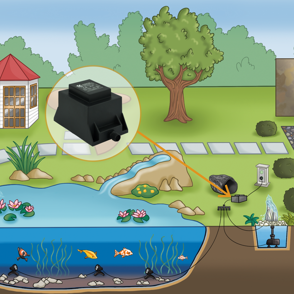 Illustration eines Gartenteich-Systems mit Transformator, Unterwasserbeleuchtung, Teichpumpe und Wasserspiel.