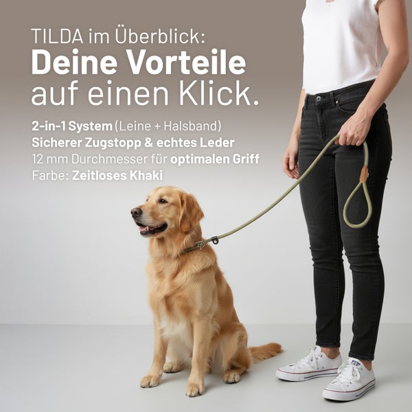 Golden Retriever an einer 2-in-1 Hundeleine aus Tau in Khaki mit Lederdetails und sicherem Zugstopp.