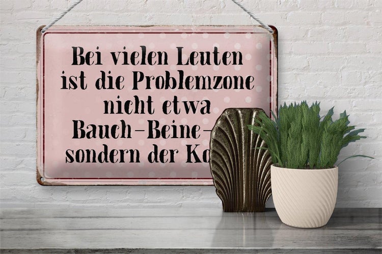 Blechschild Spruch 30x20cm Problemzone ist der Kopf Retro